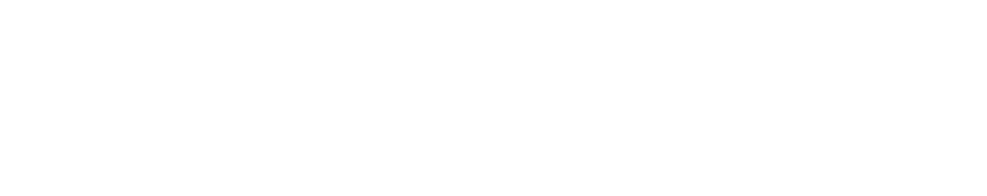 Logo ENSIM